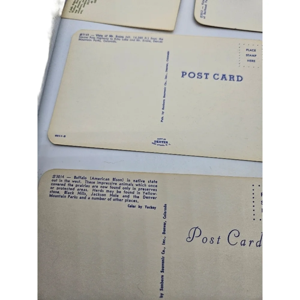 📬 Lot of 11 Various Vintage Unused Postcards Colorado USA